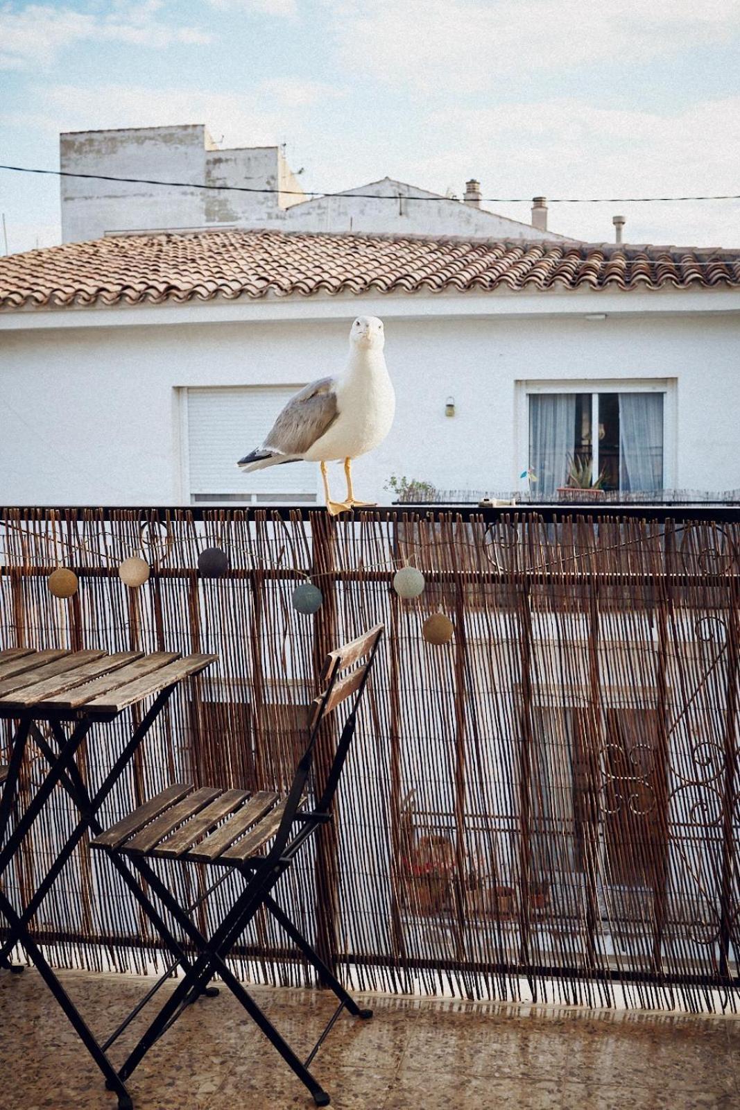 Maison Dya Altea Exteriér fotografie